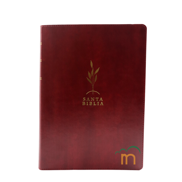 Biblia de Estudio Diario Vivir Letra grande RVR60 - Vino tinto - Índice