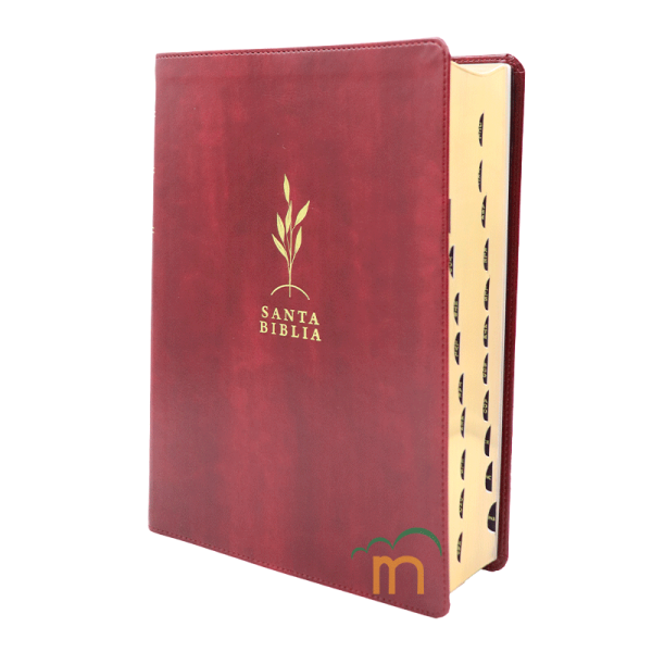 Biblia de Estudio Diario Vivir Letra grande RVR60 - Vino tinto - Índice - Image 2