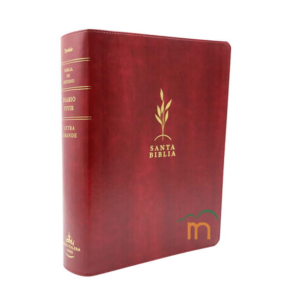 Biblia de Estudio Diario Vivir Letra grande RVR60 - Vino tinto - Índice - Image 3