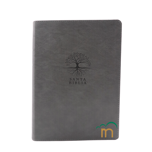 Biblia de Estudio Diario Vivir Letra grande RVR60 - Carbón