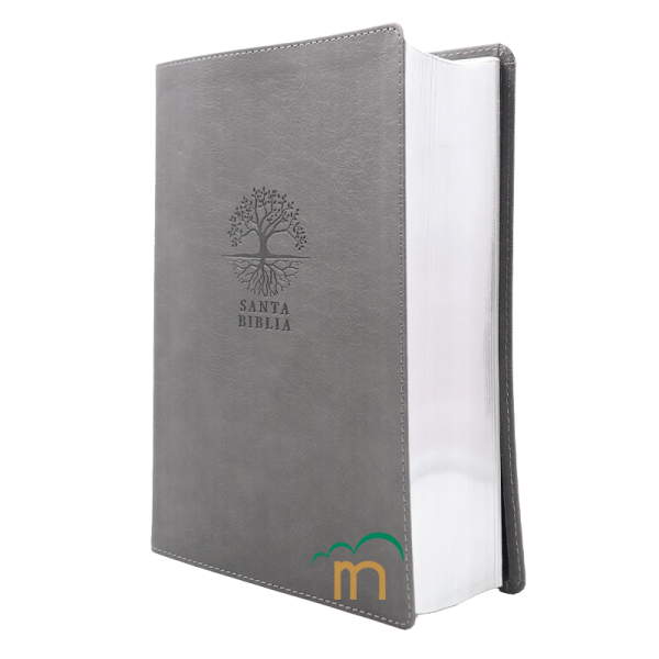 Biblia de Estudio Diario Vivir Letra grande RVR60 - Carbón - Image 2