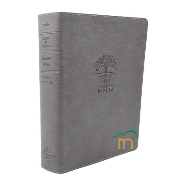 Biblia de Estudio Diario Vivir Letra grande RVR60 - Carbón - Image 3