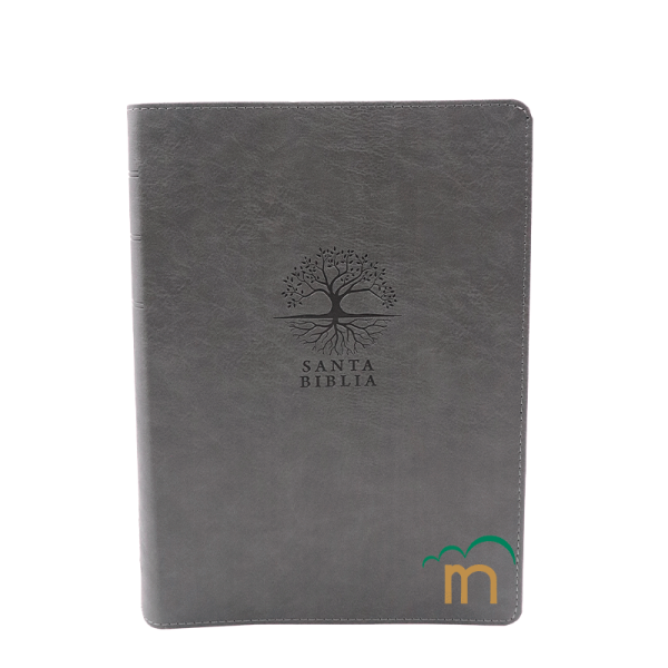 Biblia de Estudio Diario Vivir Letra grande RVR60 - Carbón - Índice
