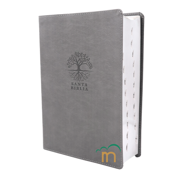 Biblia de Estudio Diario Vivir Letra grande RVR60 - Carbón - Índice - Image 2
