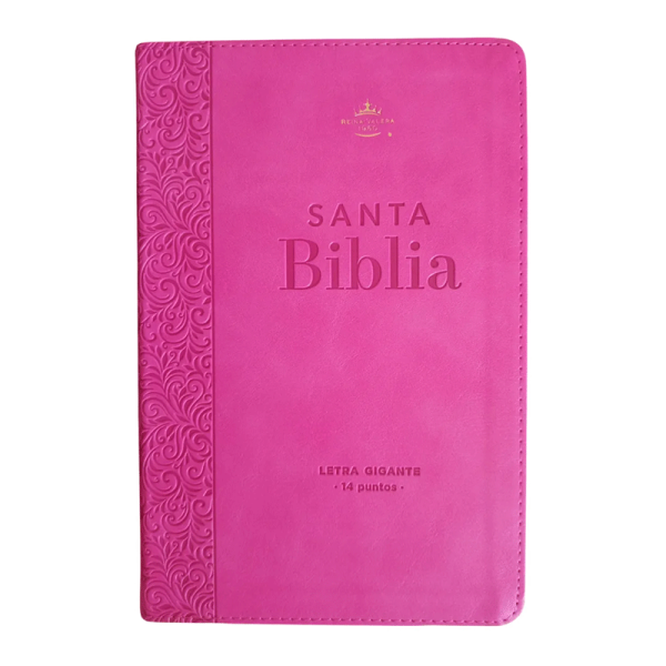 Biblia manual colección corinto RVR60 - Rosa
