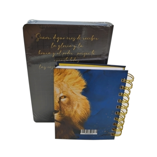 Paquete Biblia mediana RVR60 - León azul - Incluye libreta - Image 6