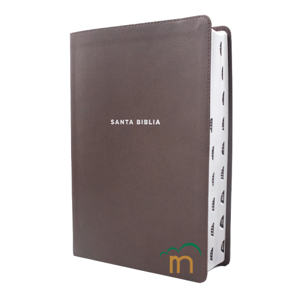 Biblia de Estudio NVI 2022 Actualizada - Letra Grande - Imitación Piel Café - Image 2