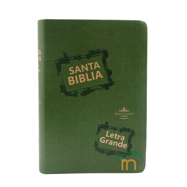 Biblia Mediana RVR60 - Letra Grande - Imitación Piel Verde Claro