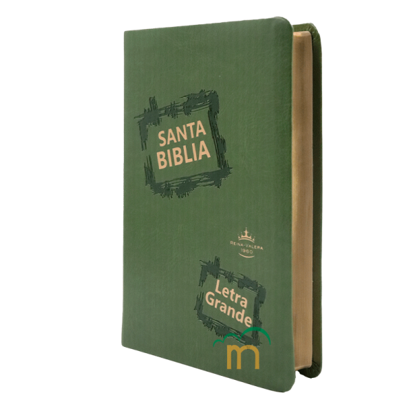 Biblia Mediana RVR60 - Letra Grande - Imitación Piel Verde Claro - Image 2
