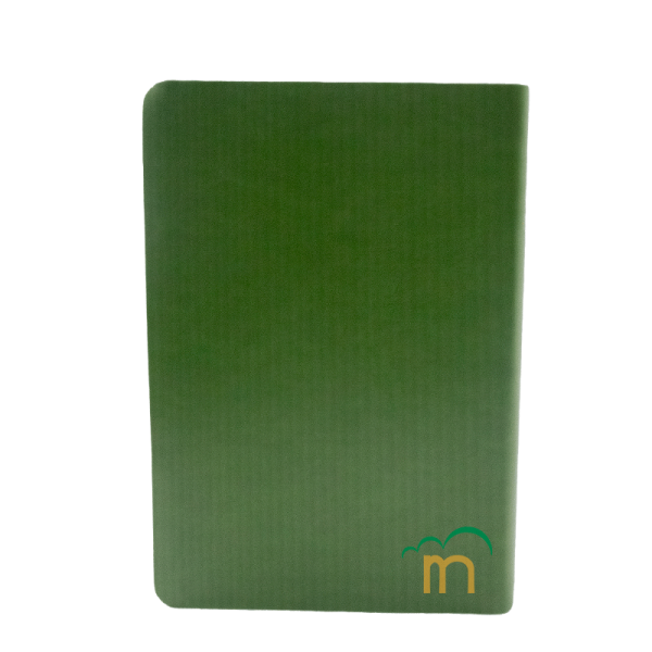 Biblia Mediana RVR60 - Letra Grande - Imitación Piel Verde Claro - Image 4