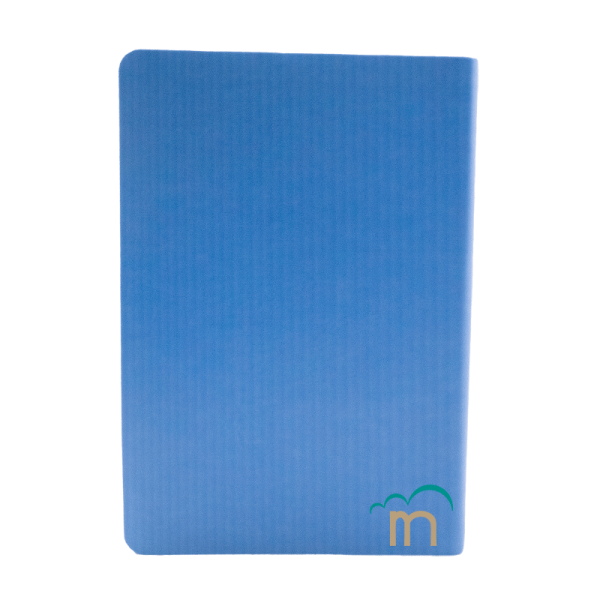 Biblia Mediana RVR60 - Letra Grande - Imitación Piel Celeste - Image 3