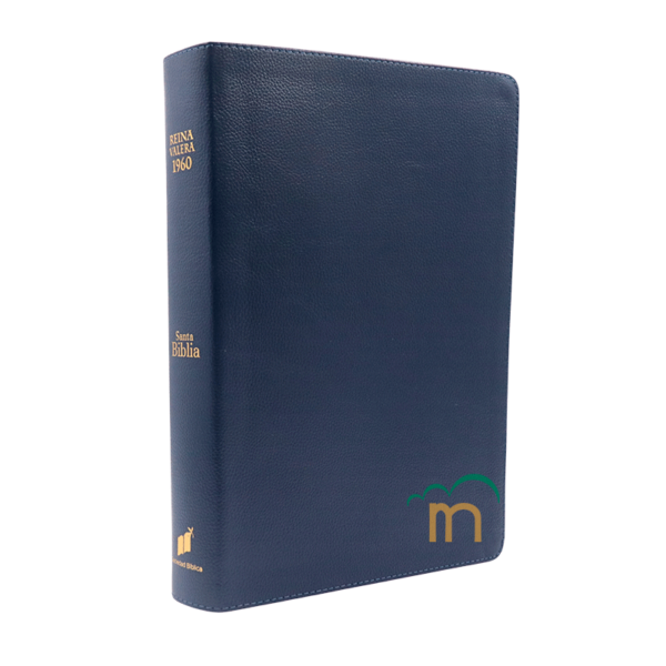 Biblia colección selecta letra super gigante RVR60 - Azul - Índice - Image 3