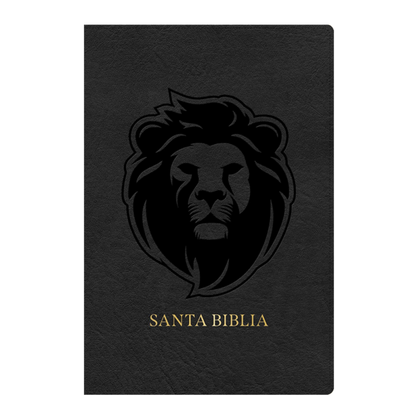 Biblia manual letra grande RVR60 - Símil piel - Ceniza león
