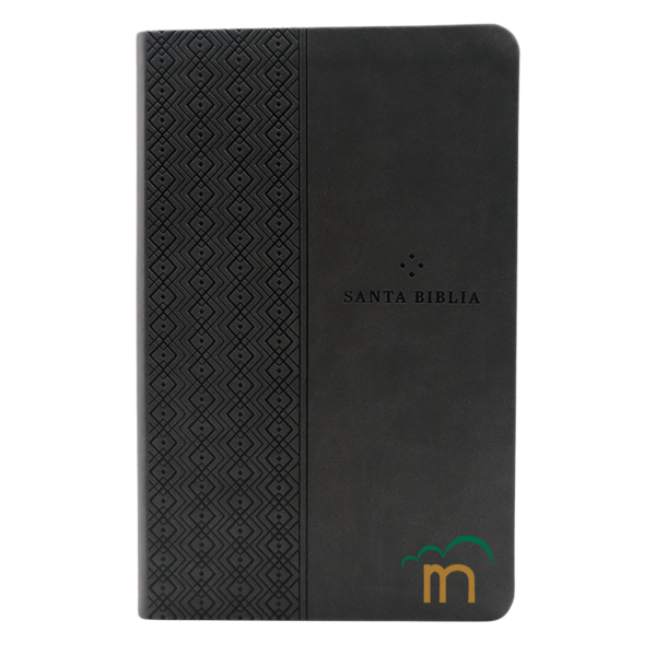 Biblia ultrafina NTV valor prémium con Filament - Gris