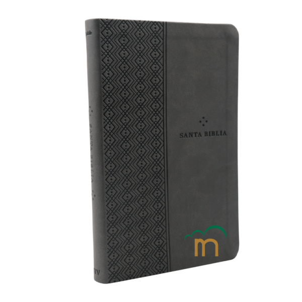 Biblia ultrafina NTV valor prémium con Filament - Gris - Image 3